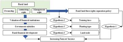 Heterogeneity measurement of the impact of the rural land three rights separation policy on farmers’ income based on DID model